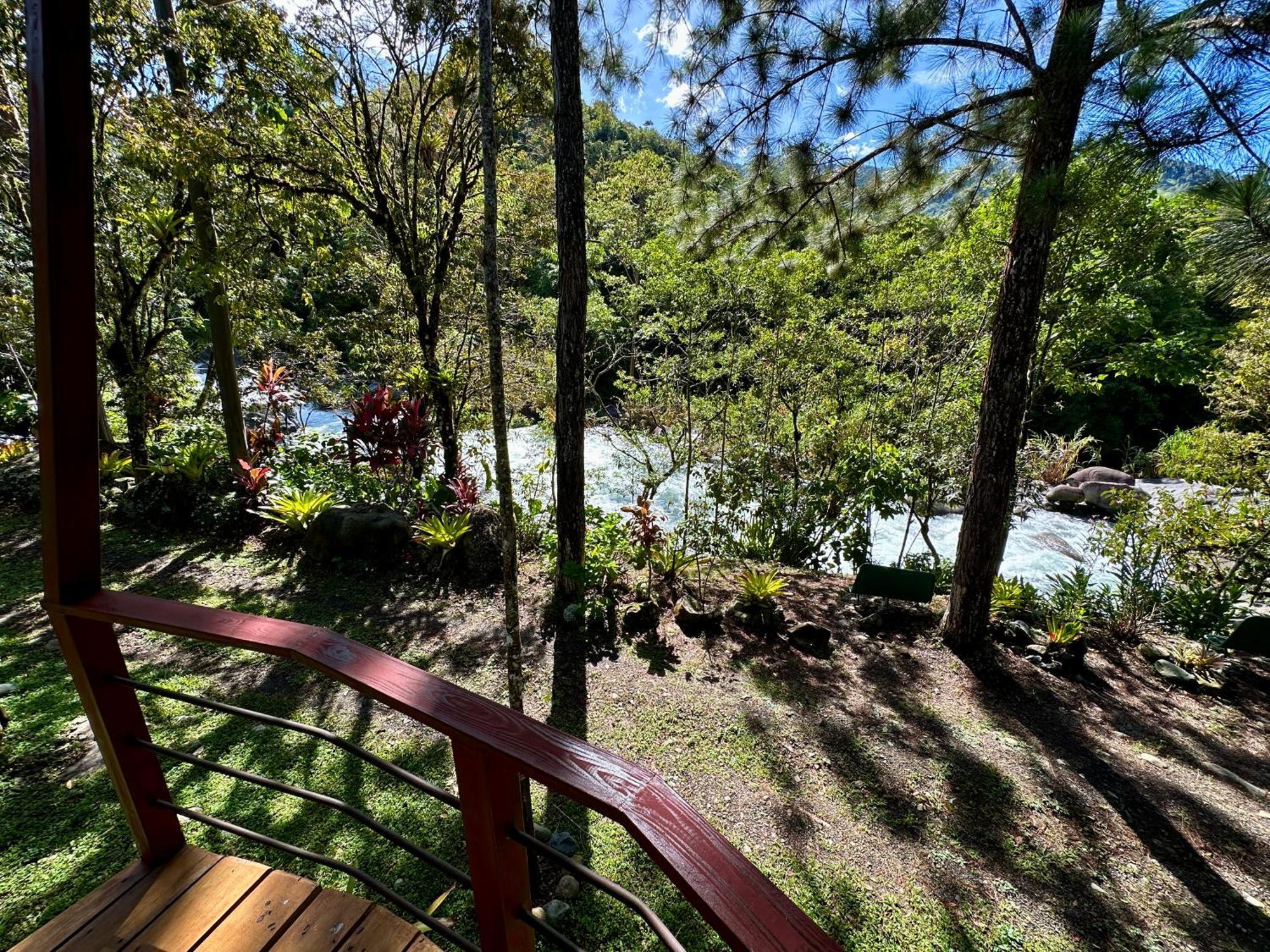 Hotel De Montana El Pelicano San Isidro De El General Номер фото